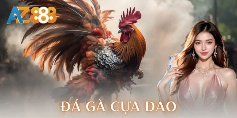 Đá gà cựa dao – Trận chiến kịch trần của dân chơi